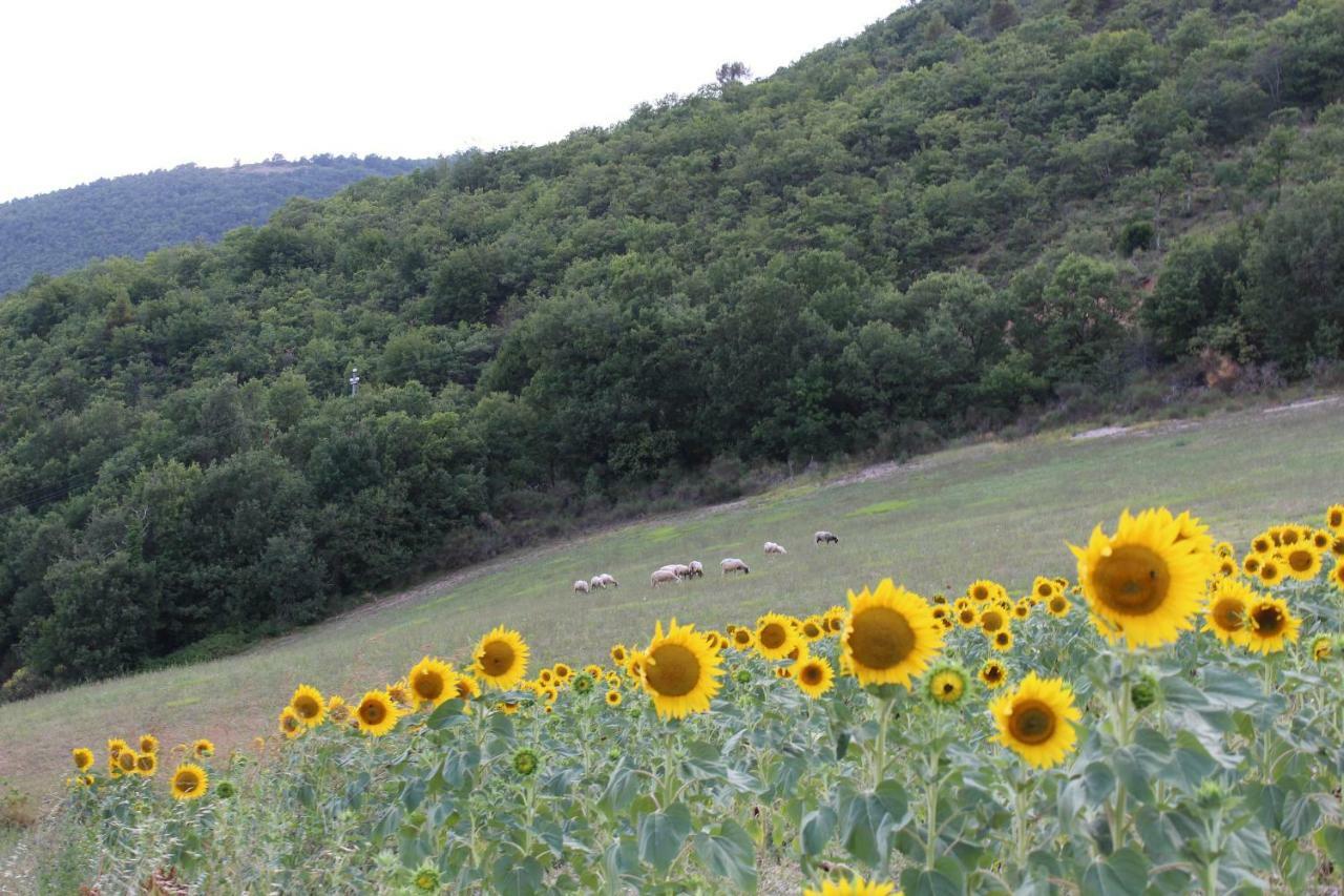 Agriturismo Roccagelli Vallo di Nera Buitenkant foto