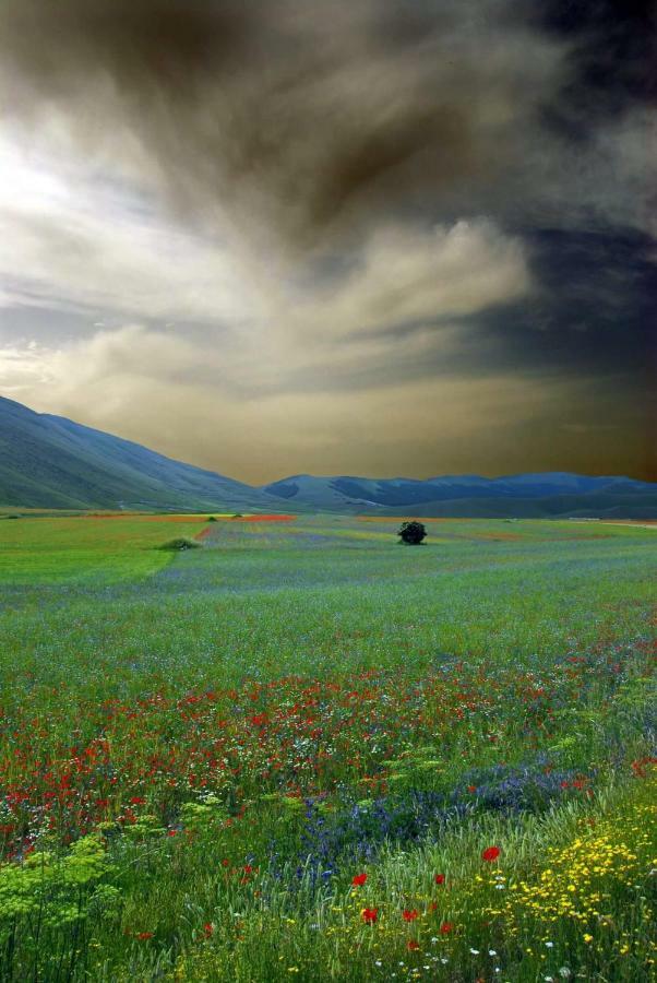 Agriturismo Roccagelli Vallo di Nera Buitenkant foto
